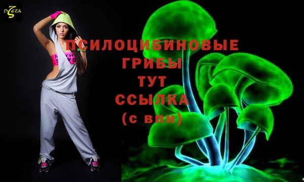 шишки Белоозёрский