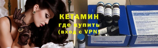 шишки Белоозёрский
