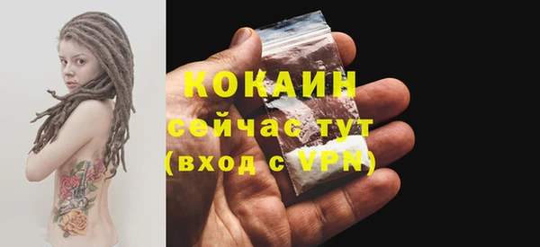 шишки Белоозёрский