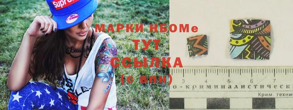 шишки Белоозёрский
